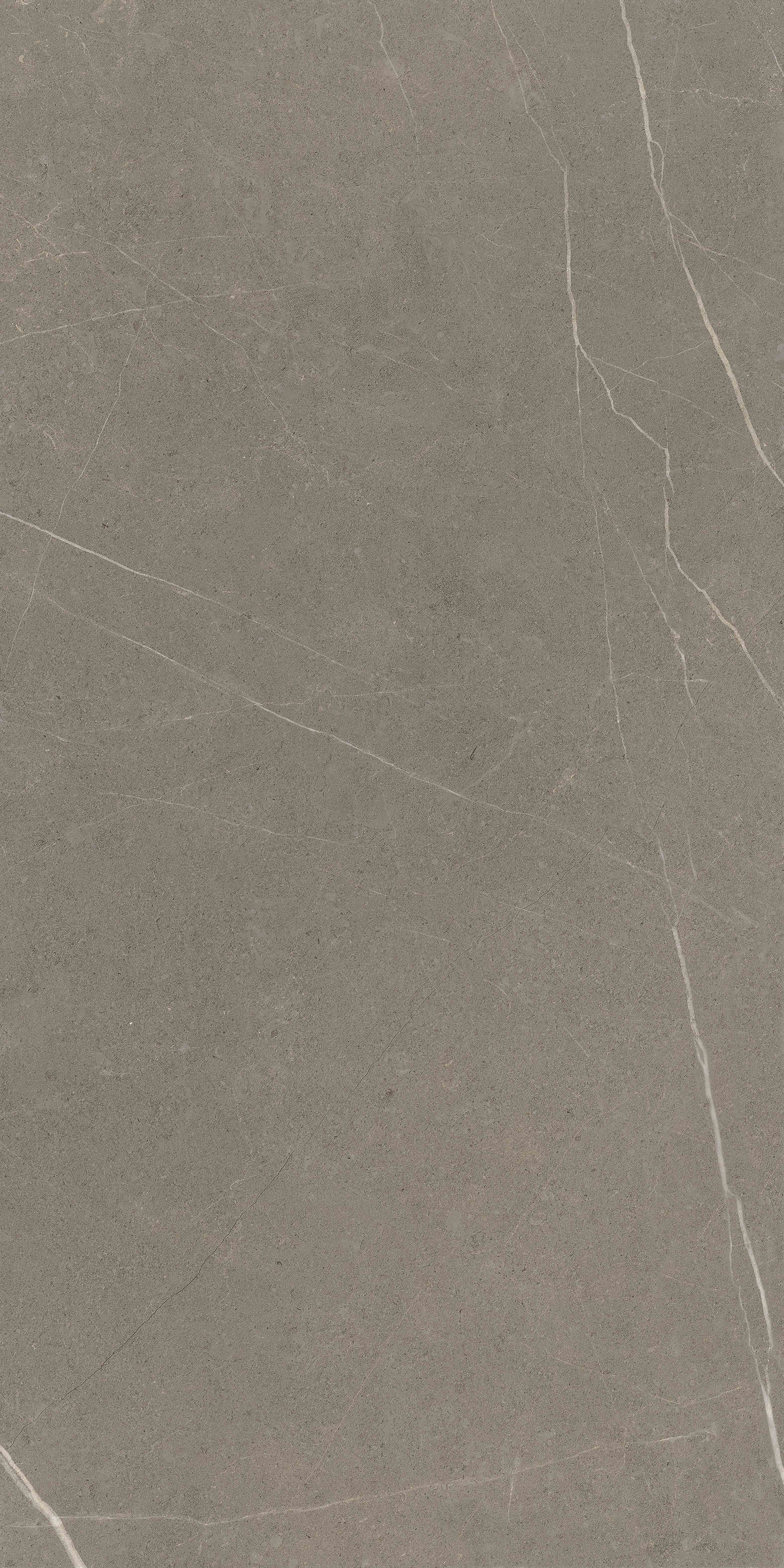 bftk715509-保加利亚灰